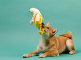 Beach Banana Beach Banana