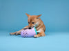 Cafe Furddy: Taro Boba Tea Cafe Furddy: Taro Boba Tea