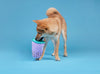 Cafe Furddy: Taro Boba Tea Cafe Furddy: Taro Boba Tea