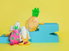 Beach Banana Beach Banana - Shop Unique pet toys, dresses & bowls | dog harness, Collars & leash
