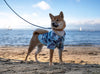 Hungtington: The Beach Shirt Hungtington: The Beach Shirt