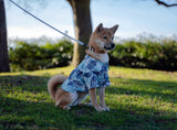 Hungtington: The Beach Shirt Hungtington: The Beach Shirt